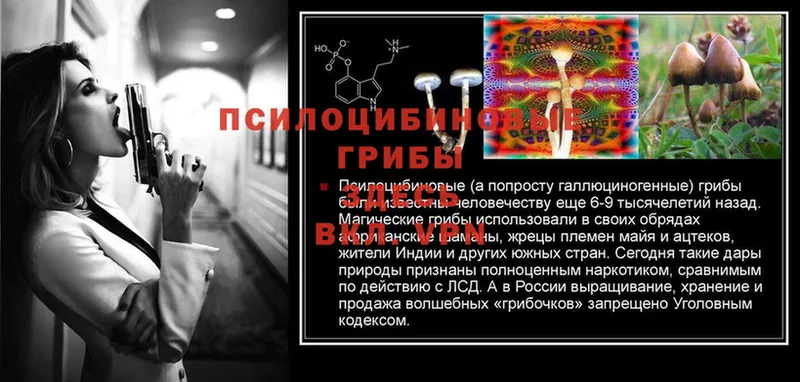 Псилоцибиновые грибы Psilocybe  мега ТОР  Яровое 